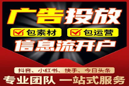 百度竞价包年推广案例深度剖析